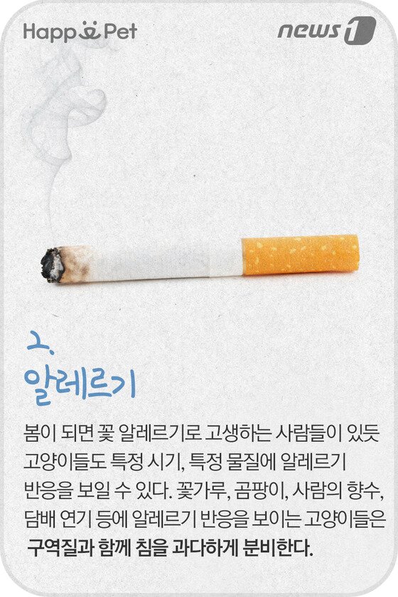 본문 이미지 - ⓒ News1