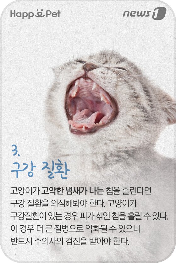 본문 이미지 - ⓒ News1