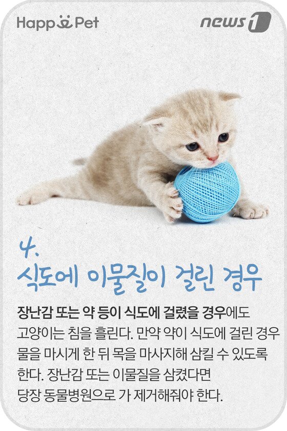 본문 이미지 - ⓒ News1