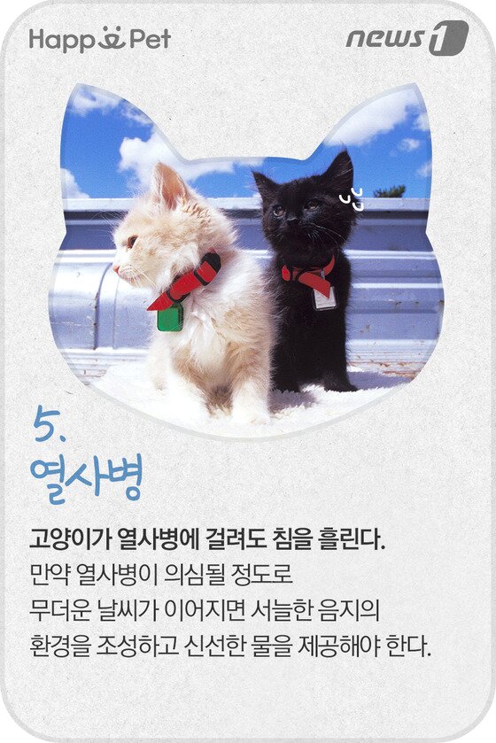 본문 이미지 - ⓒ News1