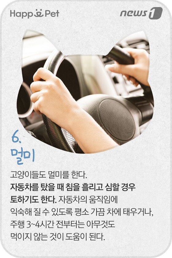 본문 이미지 - ⓒ News1