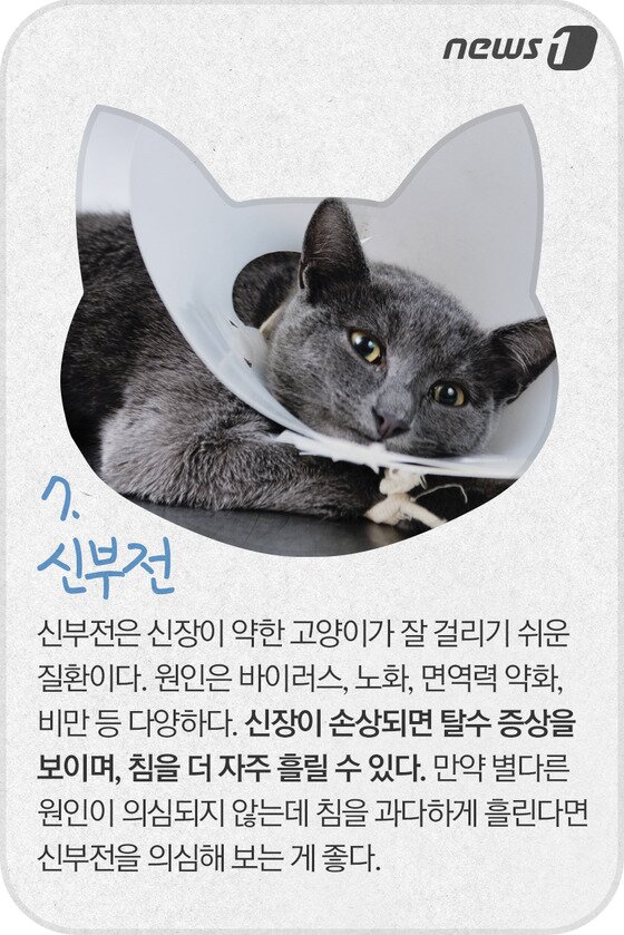 본문 이미지 - ⓒ News1