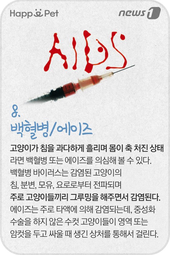 본문 이미지 - ⓒ News1