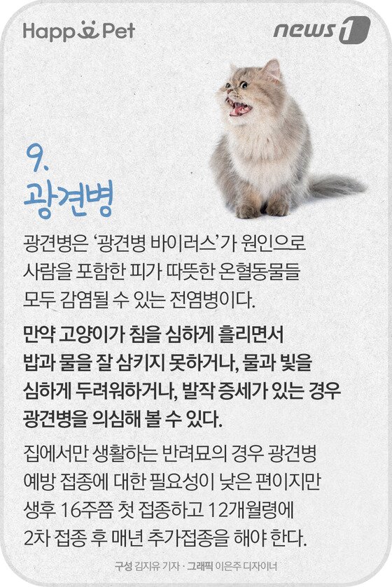 본문 이미지 - ⓒ News1