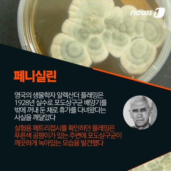 본문 이미지 -