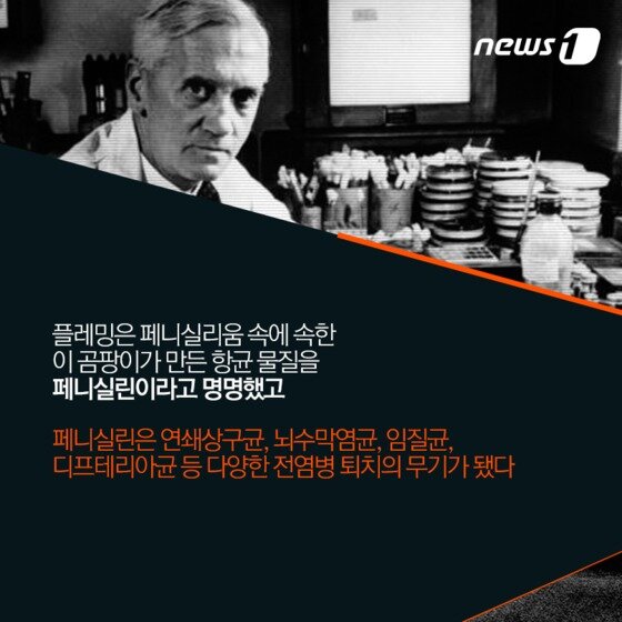 본문 이미지 -