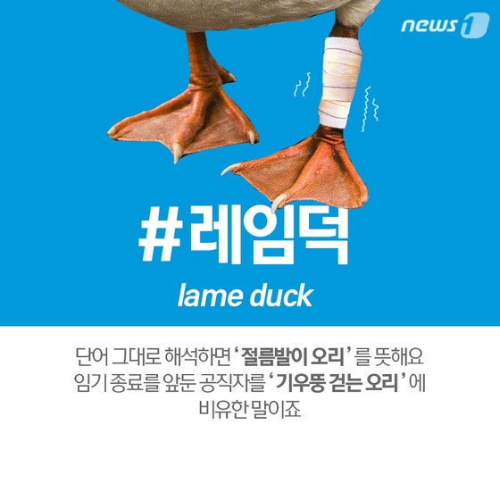 Yun Geon-young “Lam Duck test as if it’s raining…