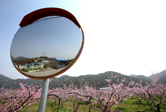 [오늘의 날씨] 전북(24일, 화)…일교차 최대 17도, 건강에 유의