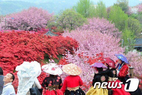본문 이미지 - 전북 전주시 투구봉 꽃동산을 찾은 관광객들/뉴스1 DB ⓒ News1 문요한 기자
