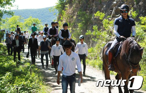 본문 이미지 - 하이원하늘길 산악승마 체험 모습. 기사와 무관. ⓒ News1