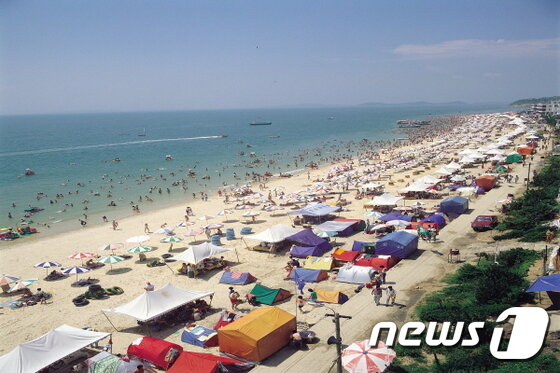본문 이미지 - 대천해수욕장 ⓒ News1