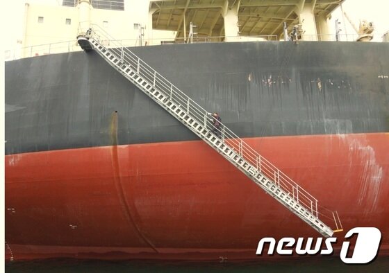 본문 이미지 - 검역관이 승선검역을 위해 선박으로 올라가고 있다.ⓒ News1
