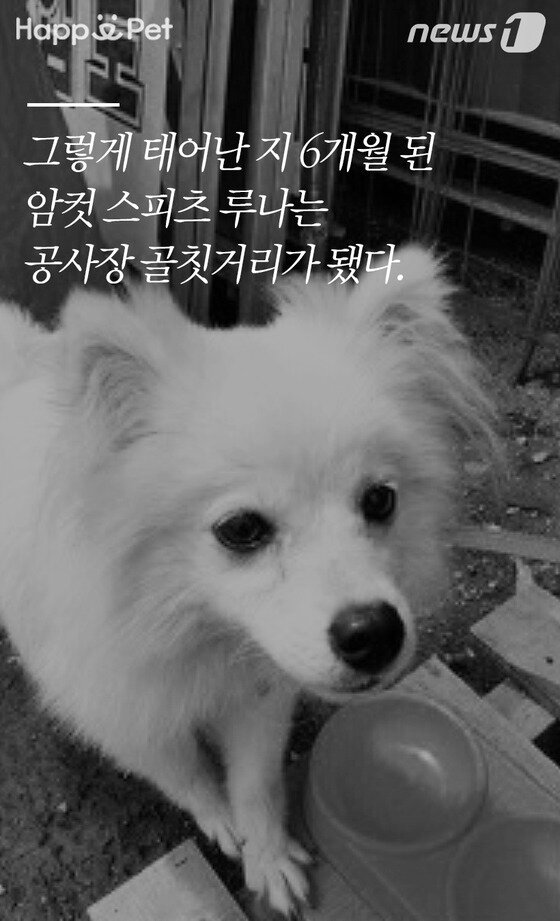 본문 이미지 -  