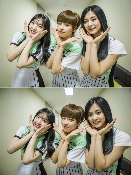 본문 이미지 - 걸그룹 트와이스의 깜찍한 꽃받침 인증샷이 공개됐다.  ⓒ News1star / KBS2