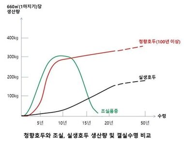 본문 이미지 - ⓒ News1