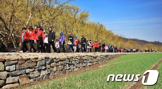 본문 이미지 - 경북 의성산수유꽃축제인 '산수유꽃길 걷기' 행사. 의성군 제공  