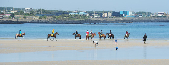 제주도 '1학생 1스포츠' 본격 추진…초등생 801명 승마·골프 등 배워