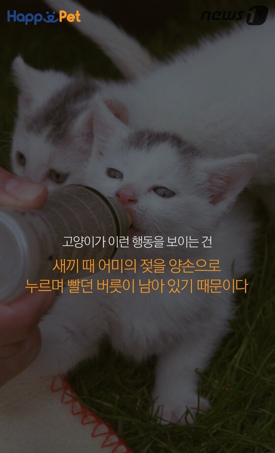 본문 이미지 -  