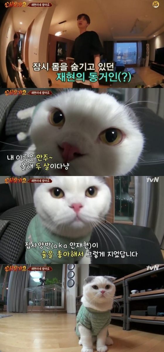 본문 이미지 - 안재현이 '신서유기2'에 출연 중이다. ⓒ News1star/ tvN '신서유기2' 캡처 