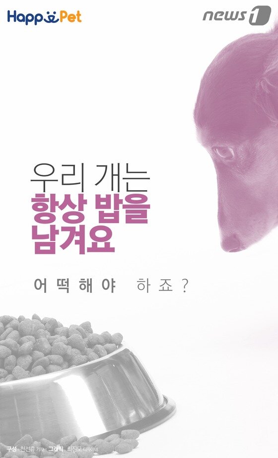본문 이미지 -  