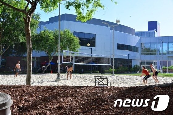 본문 이미지 - 18일 미국 캘리포니아주 마운틴뷰의 구글 본사에서 남자 직원들이 상의를 벗은채 배구를 즐기고 있는 모습. 구글은 이처럼 편안한 업무 분위기로 잘 알려져 있지만 임직원들에게 직무에 대한 전문지식과 다른 사람과의 협업 능력 등을 갖출 것을 주문한다. 2016.5.18/뉴스1 &#40;사진제공=구글&#41; ⓒ News1