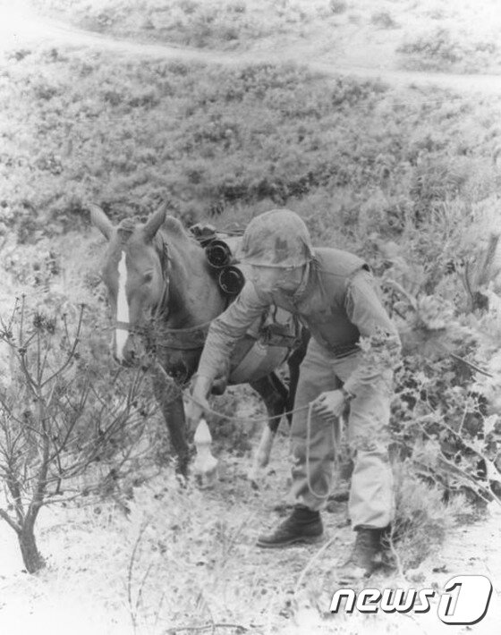 본문 이미지 - /사진출처=블로그 ⓒ News1