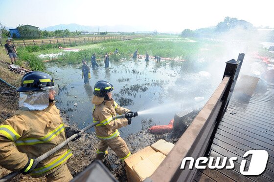 본문 이미지 - 20일 오전 11시45분쯤 대구 동구 괴전동 경부고속도로 상행선 부산기점 120㎞지점에서 경유 3만2000ℓ를 적재한 탱크로리 차량 화재가 발생했다. 이로인해 인근 연근 생산지인 안심습지 등 민가에 경유가 유입되며 불이 옮겨 붙자 긴급 출동한 소방관들이 화재를 진압하고 있다.2016.5.20/뉴스1 ⓒ News1 이종현 기자