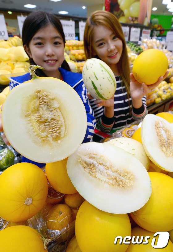 (서울=뉴스1) 박정호 기자 = 26일 오전 서울 중구 봉래동 롯데마트 서울역점에서 모델들이 국산 이색 메론을 선보이고 있다. 롯데마트는 겉이 노랗고 식감이 아삭한 '양구 메론'과 …