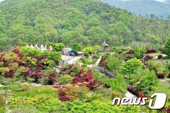 본문 이미지 - 공주 이안 숲. 이지민 작가 ⓒ News1