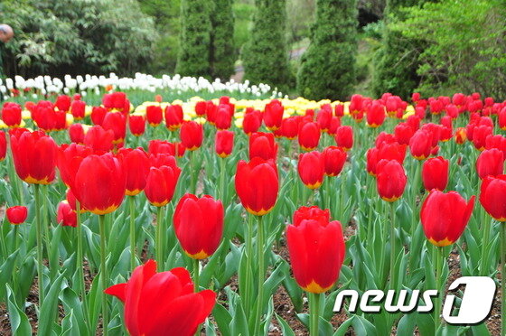 본문 이미지 - 청양 고운식물원. 이지민 작가  ⓒ News1