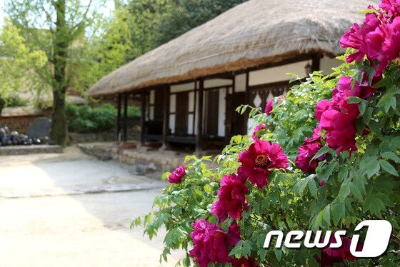 본문 이미지 - 강진 영랑 생가의 모습. 김준연 작가 ⓒ News1