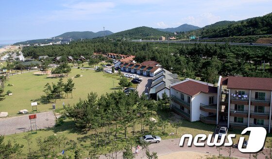 본문 이미지 - 망상오토캠핑리조트 전경.(뉴스1 DB)