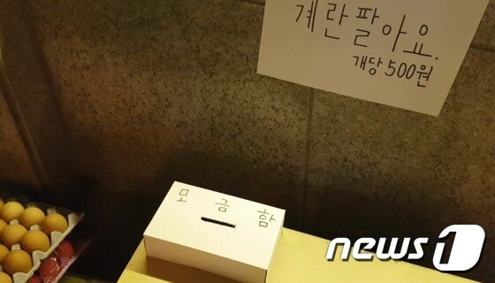 본문 이미지 - ''일간베스트' 인증' 손모양 조각 앞에 함께 전시된 달걀과 모금함 ⓒ News1