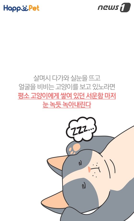 본문 이미지 -  