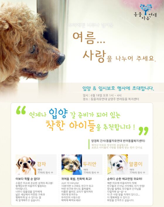 동물자유연대 '입양·임시보호 행사' 18일 개최 - 뉴스1