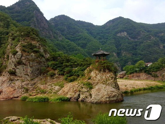 본문 이미지 - 월류봉 아래 소&#40;沼&#41;와 월류봉의 깎아지른 절벽에 있는 한전정사의 모습. &#40;영동군 제공&#41;ⓒ News1