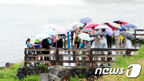 제주시 용두암 관람 전망대에서 중국인 관광객들이 우산을 쓰고 관광을 하고 있다. 2016.6.20/뉴스1 © News1 이석형 기자