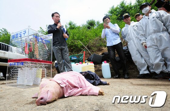 본문 이미지 - 21일 전북 김제시 백구면 담수호에서 실시한 수중 시체 및 증거물의 압수시점 추정 연구실험에서 전북지방경찰청 관계자가 시체를 대신해 사용하는 돼지 사체를 놓고 실험에 대해 설명하고 있다.2016.6.21/뉴스1 ⓒ News1 문요한 기자