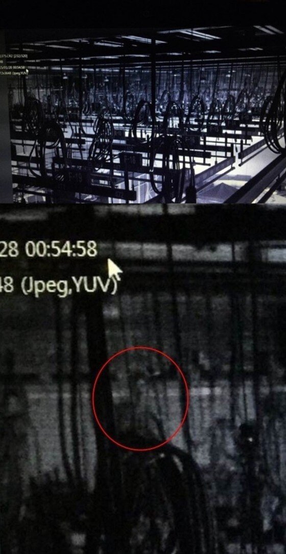 본문 이미지 - 장소연이 '곡성' 뒷이야기를 밝혔다. ⓒ News1star/ '곡성' 홈페이지