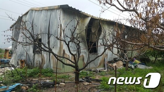 본문 이미지 - 지난달 경부고속도로에 일어난 탱크로리 교통사고 화재로 피해을 입은 대구 동구 안심습지 인근의 농가창고의 모습. 2016 6. 22/정지훈기자ⓒ News1