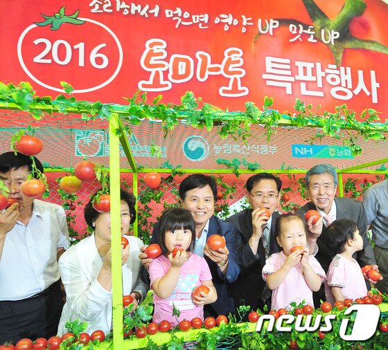 본문 이미지 - 23일 농협하나로클럽 양재점에서 실시한 토마토 소비촉진 행사장에서 (사)한국토마토대표조직 최계조 회장(사진 오른쪽부터), 농림축산식품부 안형덕 원예경영과장, 농협중앙회 김영주 회원경제지원부장이 기념촬영을 하고 있다. (농협 제공) 2016.6.23/뉴스1 ⓒ News1 임세영 기자