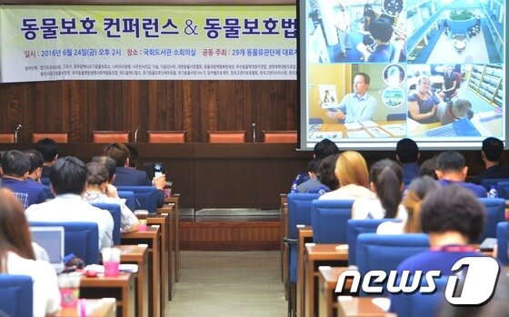 본문 이미지 - 24일 서울 여의도 국회 도서관 소회의실에서 열린 '동물보호 콘퍼런스&동물보호법 개정 건의식'에서 참석자들이 해외 동물 선진 사례를 지켜보고 있다. 2016.6.24/뉴스1 ⓒ News1 구윤성 기자
