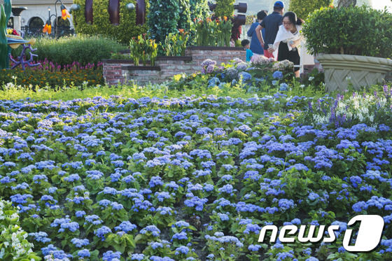 푸른바다 컨셉 정원 조성… 라벤더, 샐비어 등 여름꽃 연출