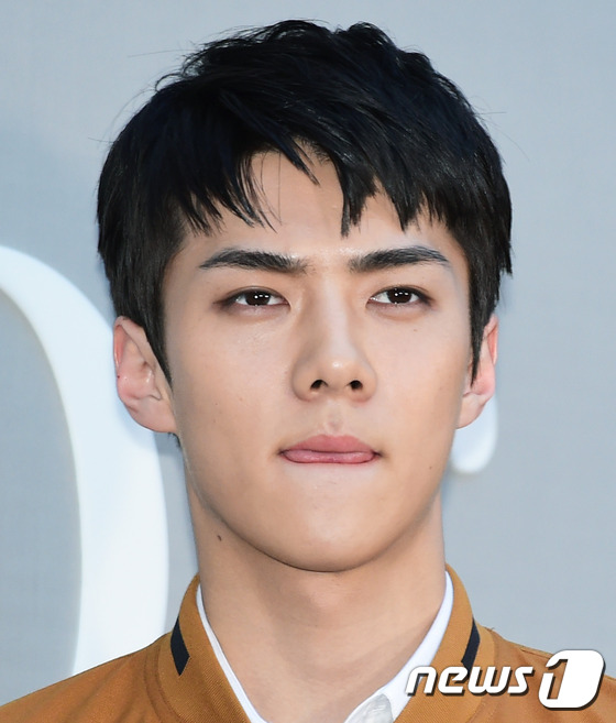 (서울=뉴스1스타) 권현진 기자 = 엑소(EXO) 세훈이 14일 오후 서울 강남구 청담동 하우스 오브 디올에서 열린 ‘디올 컬러의 세계-Dior colors’ 전시 오프닝에 참석해 …