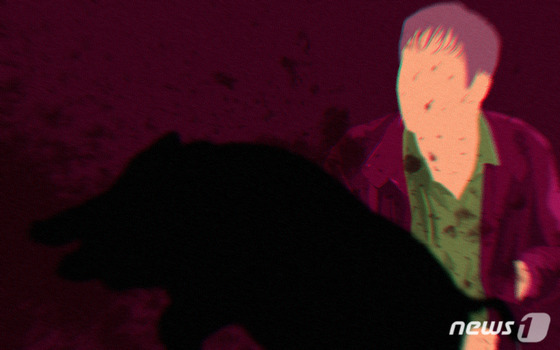 밤새 부산 도심 2곳서 멧돼지 출몰 신고…인명피해 없어