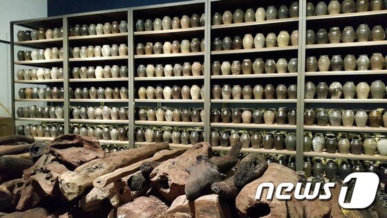 본문 이미지 - ⓒ News1