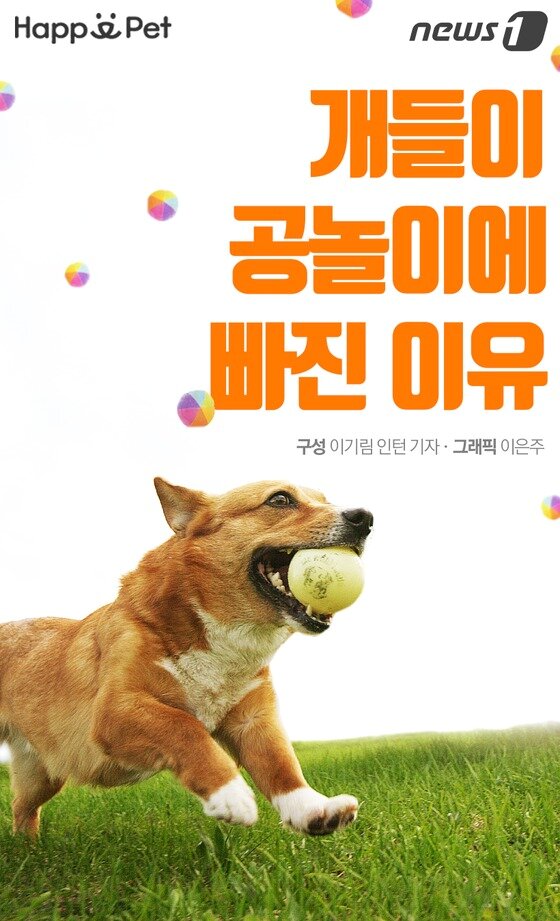 본문 이미지 -  