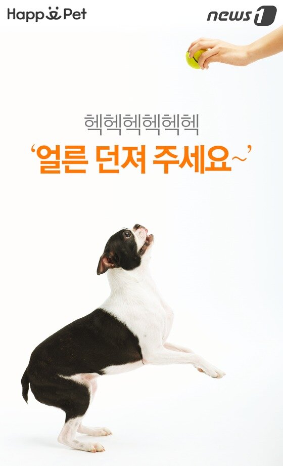 본문 이미지 -  