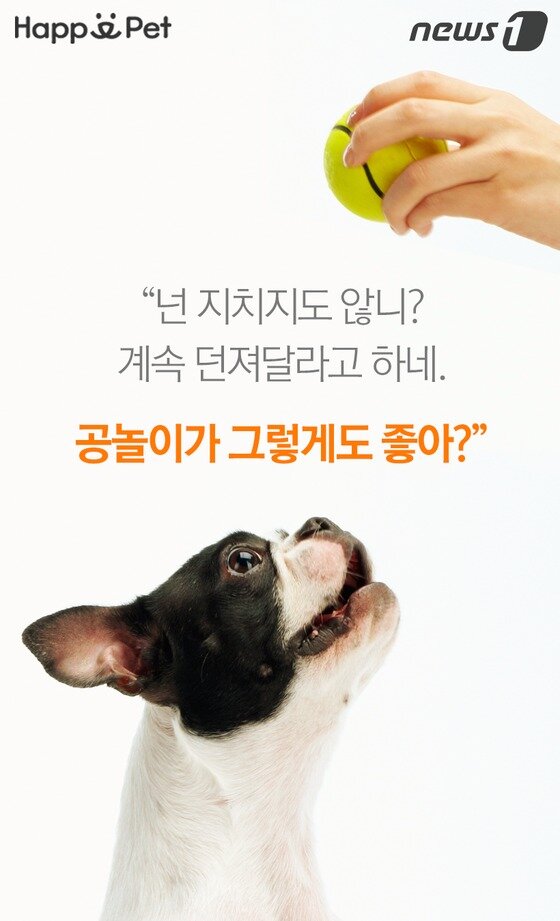 본문 이미지 -  
