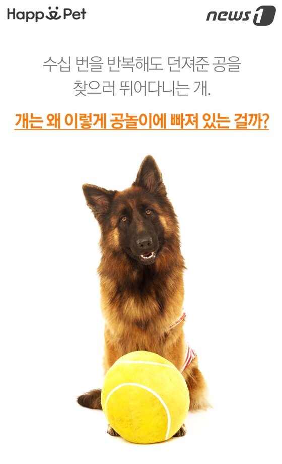 본문 이미지 -  